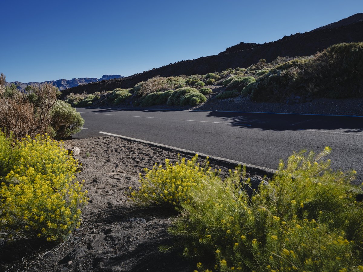 MAGROUND's tweet photo. Find new perspectives. With our 3D Camera Flow, you can explore angles, focal lengths and compositions directly in real MAGROUND locations.

Place your car, adjust the camera, and define the shot. https://t.co/t1EmJ3mwPP