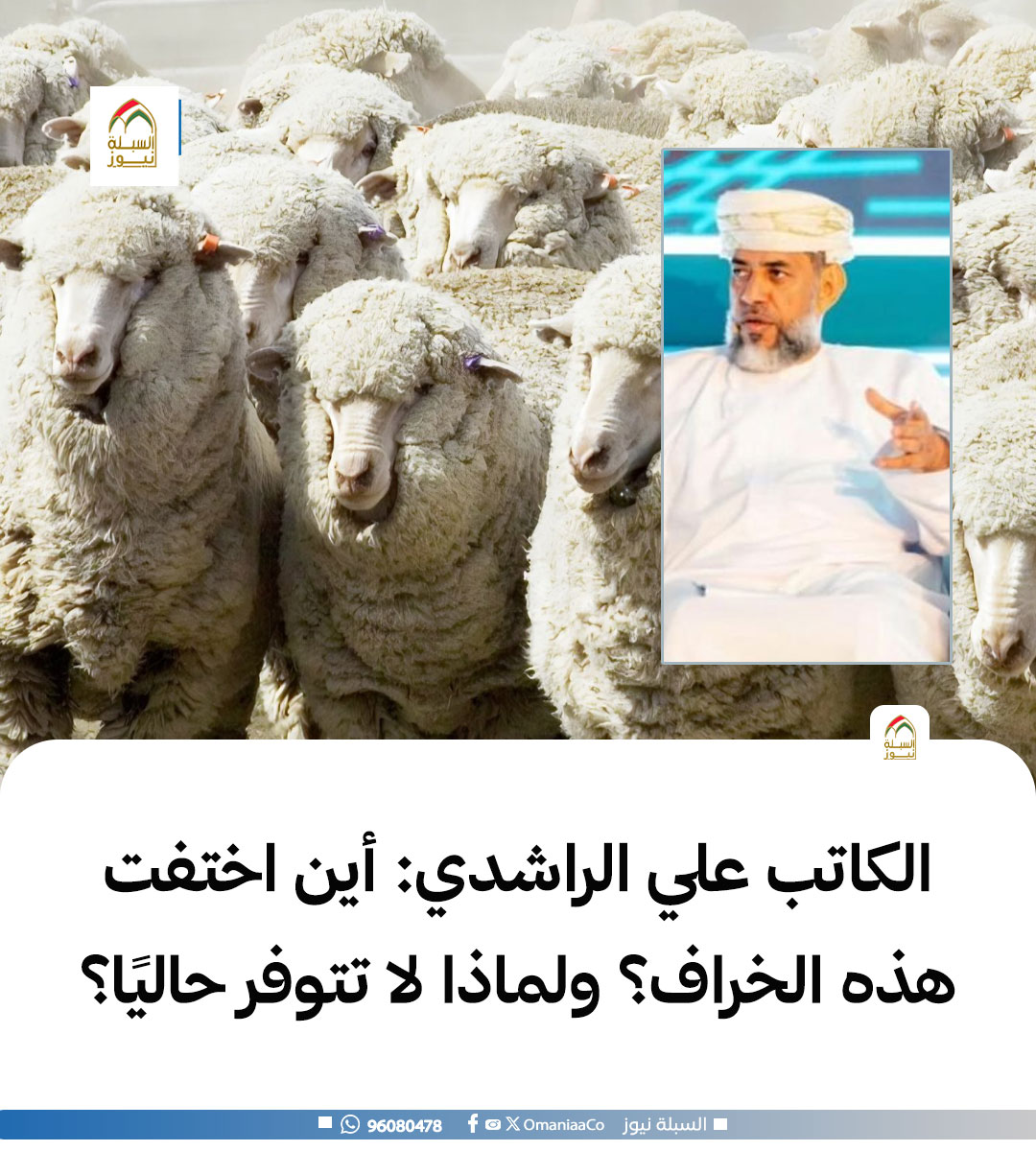 السبلة نيوز tweet media