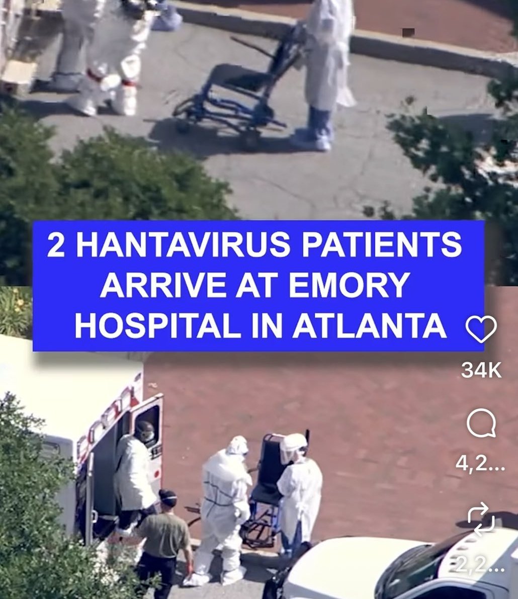 ANDV-26 tweet media