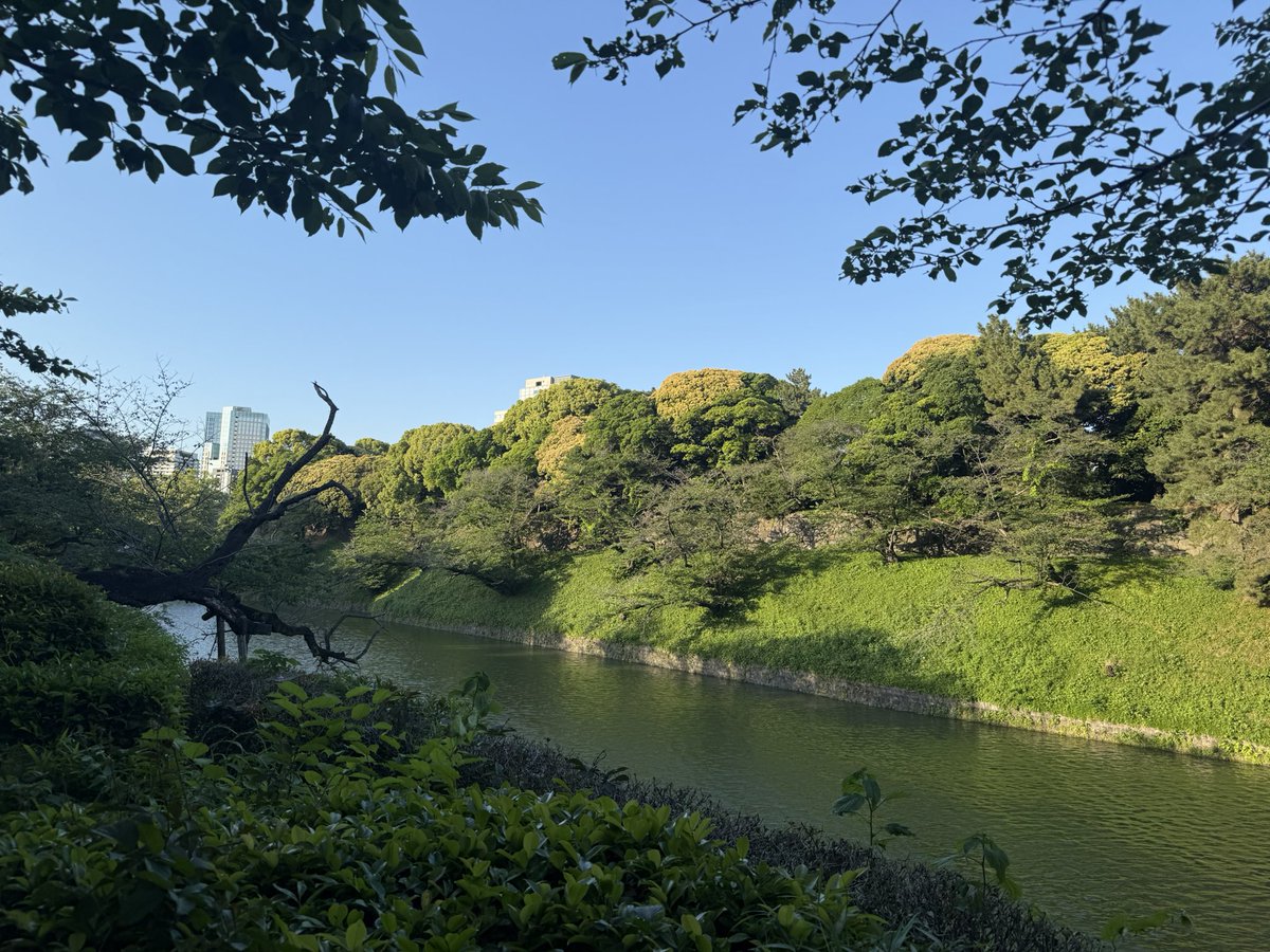 playcurtain3's tweet photo. 天気が良かったので帰りがけに千鳥ヶ��を散歩してから帰ってきた。
桜の時期じゃなくて新緑の時期に来てもキレイです。そして空いてる。 https://t.co/pxiQ6u1VDH