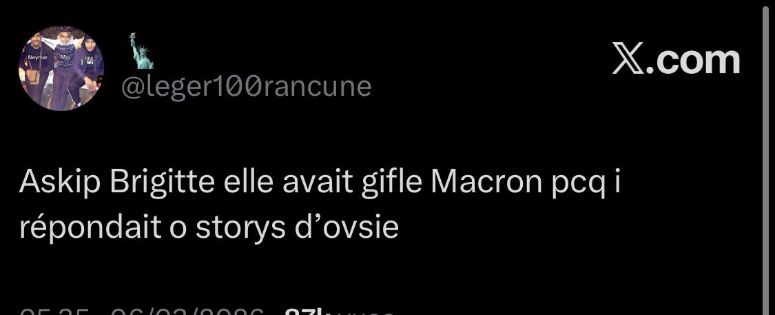 🗽 tweet media