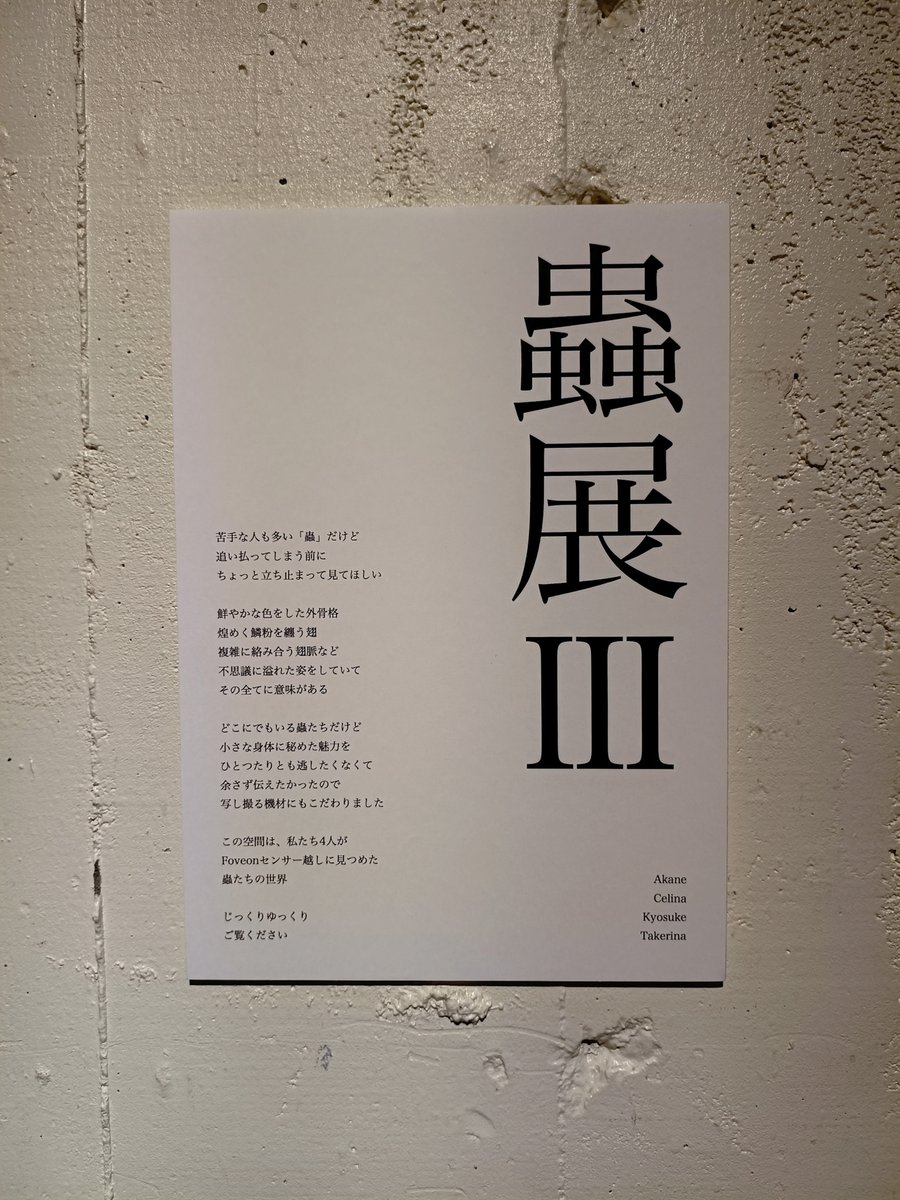 takenori_'s tweet photo. まさかFoveon蟲展も次回が4年目になるとは…🙄 https://t.co/zeWeTeLhjg
