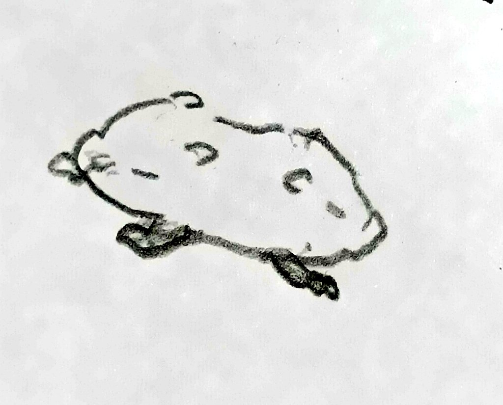 月天子 tweet media