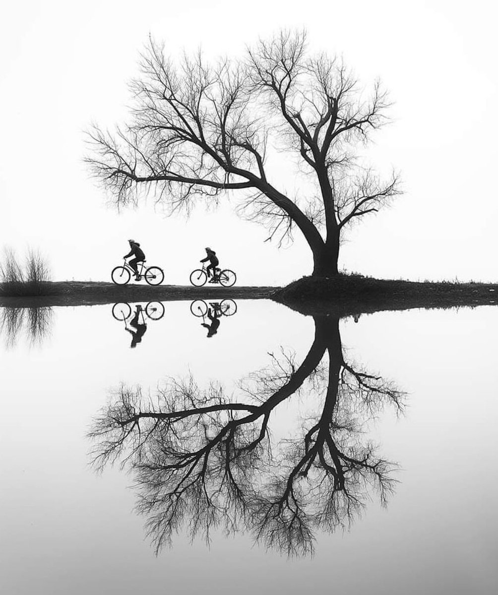 theglobalphotocommunity tweet media