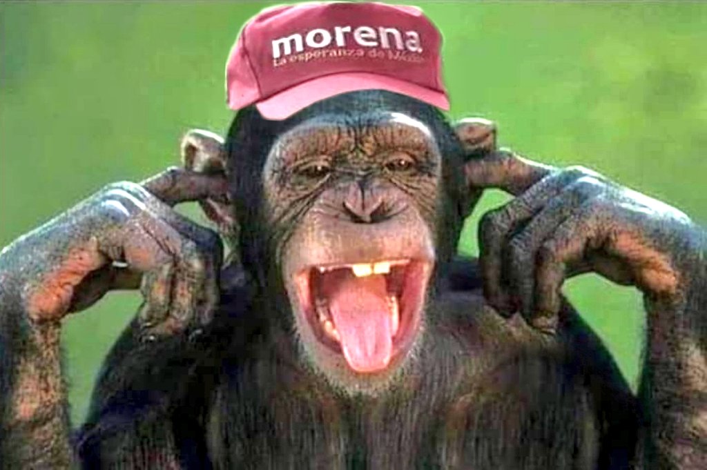 POPULISMO Y DEMAGOGIA NO SIGNIFICA BUEN GOBIERNO tweet media