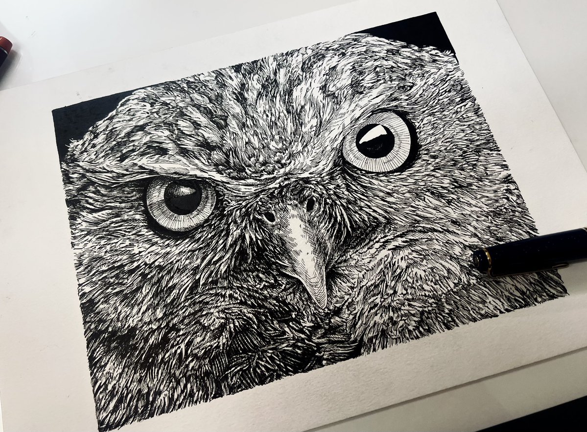 Bas Geeraets 🦉 tweet media