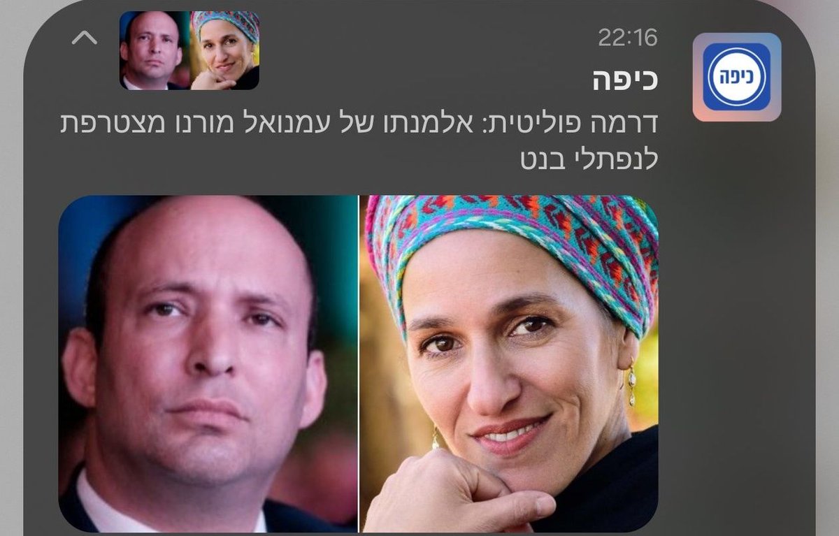 דב הלברטל tweet media