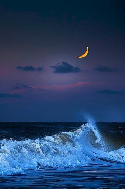 eeithar13's tweet photo. على أطراف نافذتي
يرسمك الليل حكاية تروى
وبين زوايا الورق.. تتوارى لي بطرف خفي.. 
زرعتني بذرة فأزهرت بك
 ربيعاً..
ثم تركتني عواصف تجمد
 نبضي.. 
فبقيت أنت.. سراباً يراودني
وخلفت العواصف لجة في #غياب_عابر
تتقاذفني حتى خارت
 سواعدي.. 
#ظلـــيل https://t.co/TjDdfSBd2U