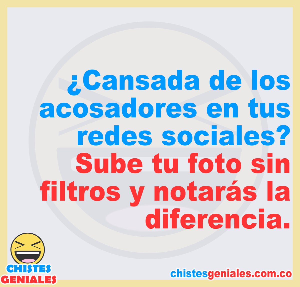 LOBO SOLITARIO tweet media