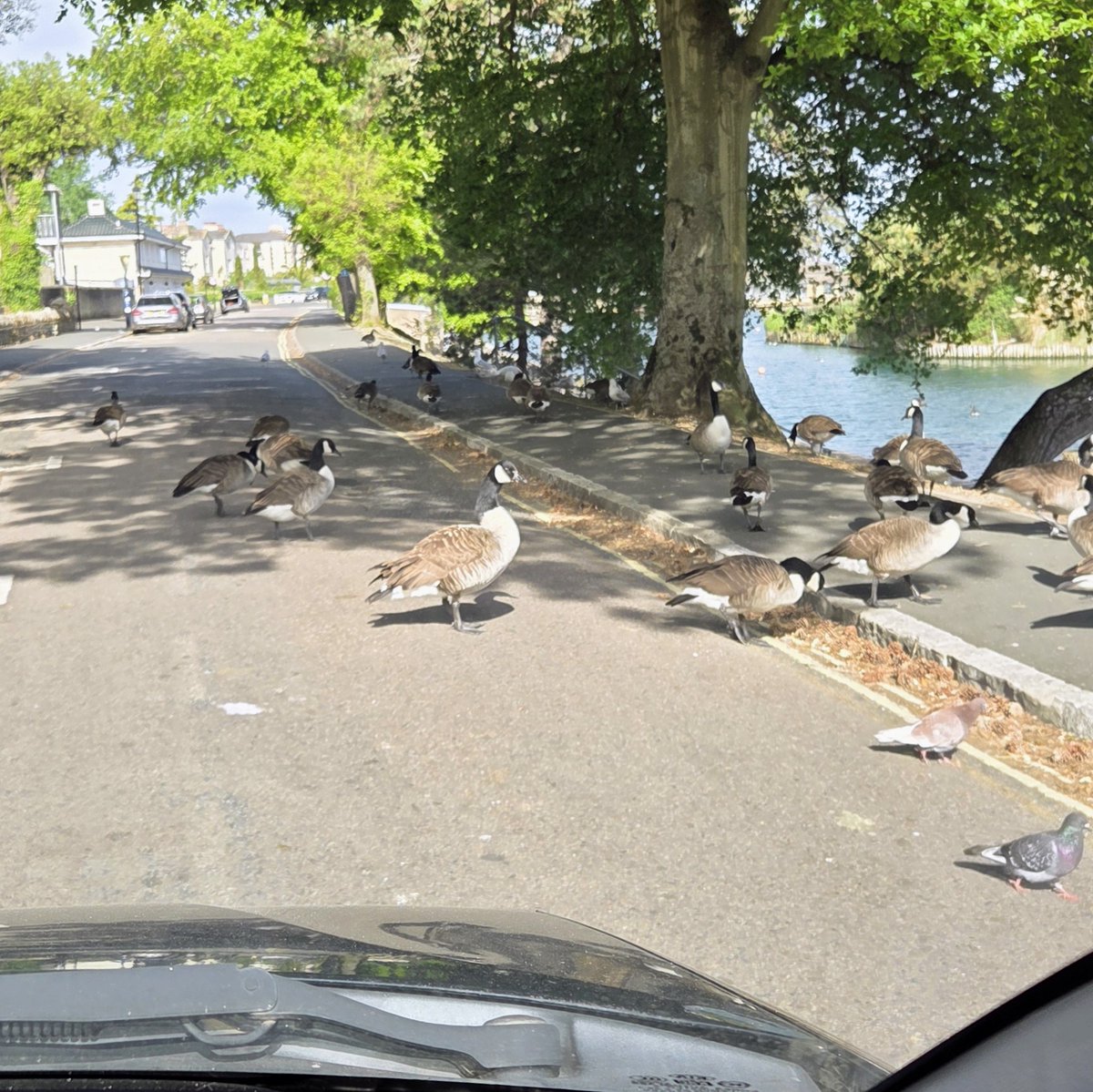 Katerbi's tweet photo. Driving on the Isle of Wight. https://t.co/gfmr6tzlrL