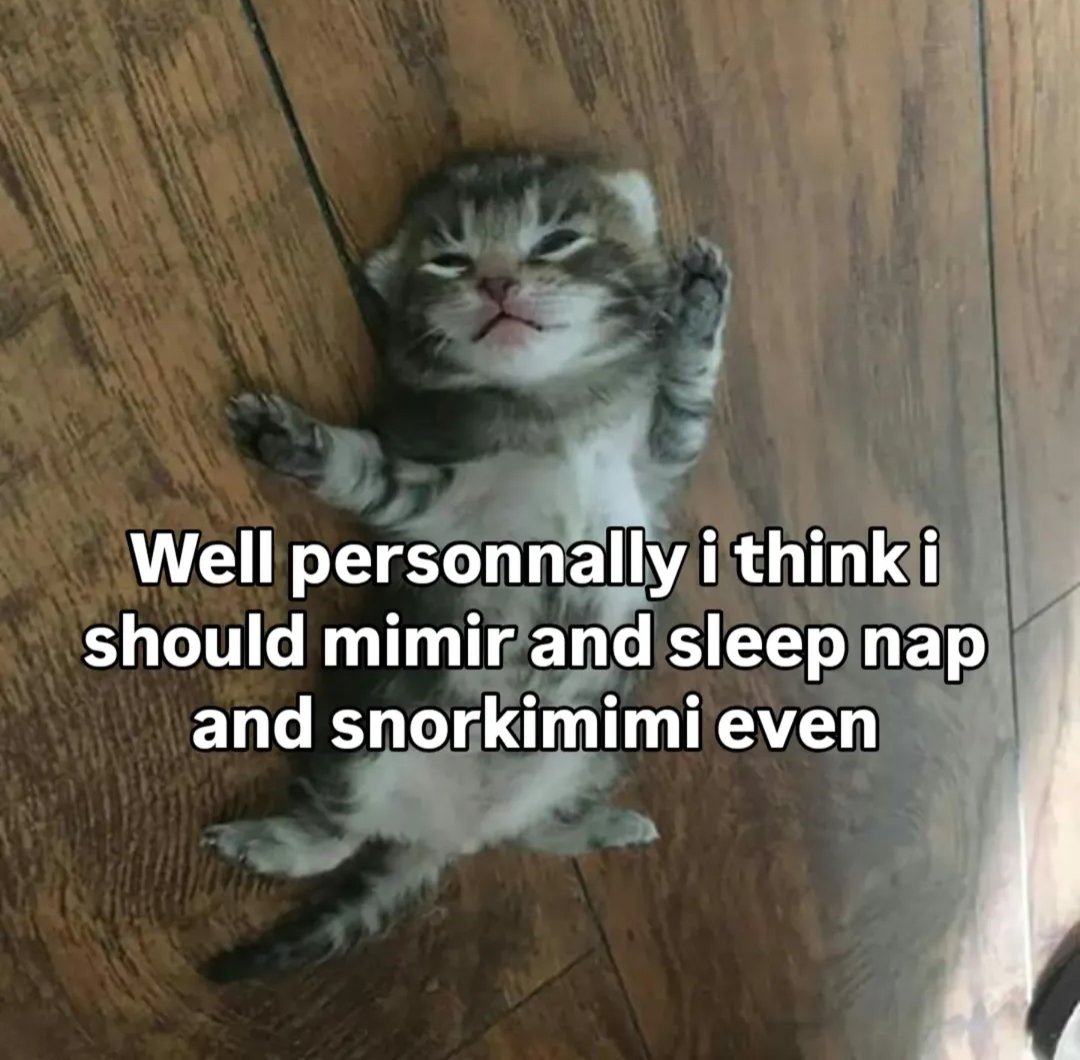 PostofcatsX's tweet photo. maybe i munst naps https://t.co/WQ9XT5AKCg