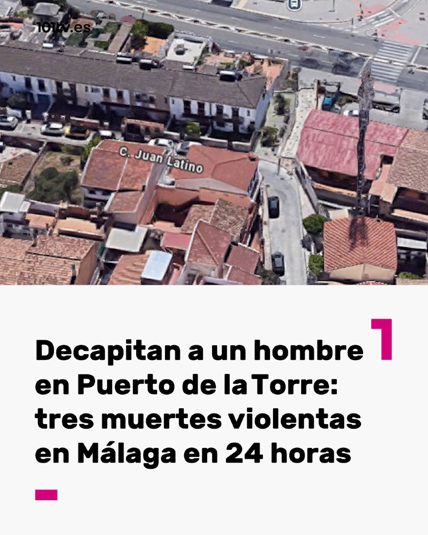 101TV Málaga tweet media