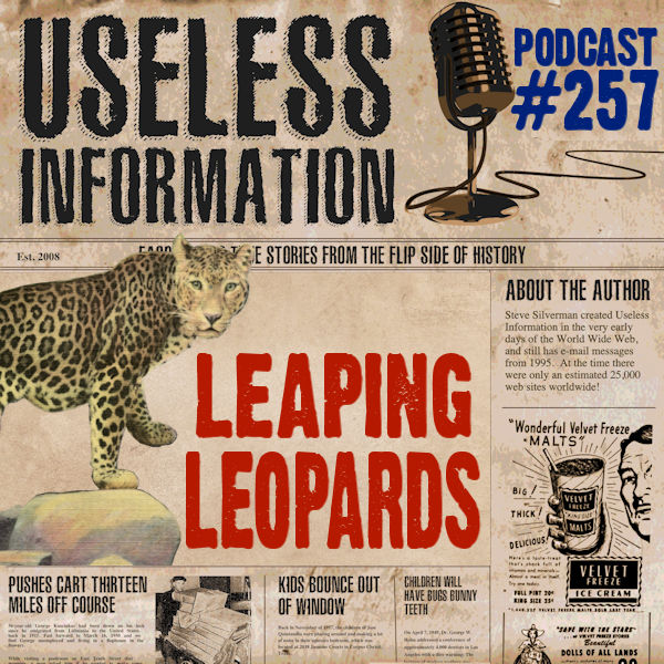 UselessInfoCast's tweet photo. Latest Episode! A wild leopard fresh from the jungle escaped the Oklahoma City Zoo in 1950, unleashing a frantic manhunt that turned the city into a spectacle of fear, fascination, &amp; chaos.
Listen here: https://t.co/9ApMEbe536
#leopard #oklahomacityzoo #okczoo #zoo #oklahomacity https://t.co/MwqmJGpAEF