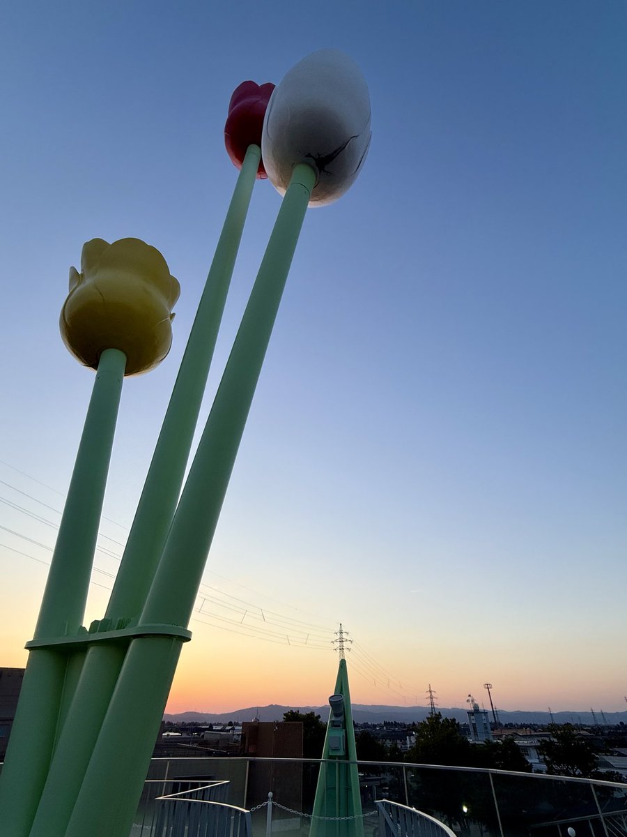 登りたかったタワー🗼、 1ヶ月ぶりのチューリップ🌷公園