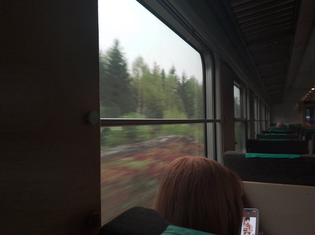 Priest_Calero's tweet photo. Voy en tren, recorriendo kms de bosque hacia el norte. El clima está frío como casi siempre en este país. Mi destino por estos 4 meses siguientes es Söderhamn, una pequeñita ciudad junto al mar Báltico, donde estaré trabajando. Dios bendiga este tiempo aquí. https://t.co/hlRRoTq6tq