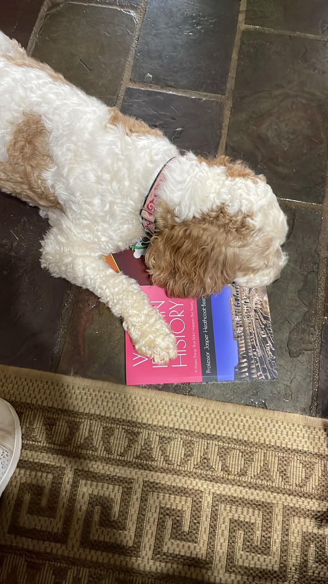 Her_Maj_Borg's tweet photo. Perfect 'take back to the kennel' reading matter! Two of the greatest iffy and annoying books you'll ever read by my learned pommy friend Professor @JasperBeech 
*no books were harmed in the making of this tweet.
#History  #Books #LearningStuff  #dogslife #gift #presents https://t.co/9pOPxK1lqD