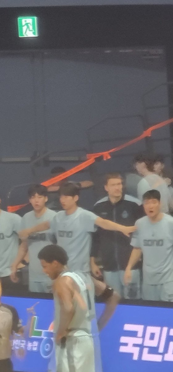 고양소노잠깨어라 tweet media