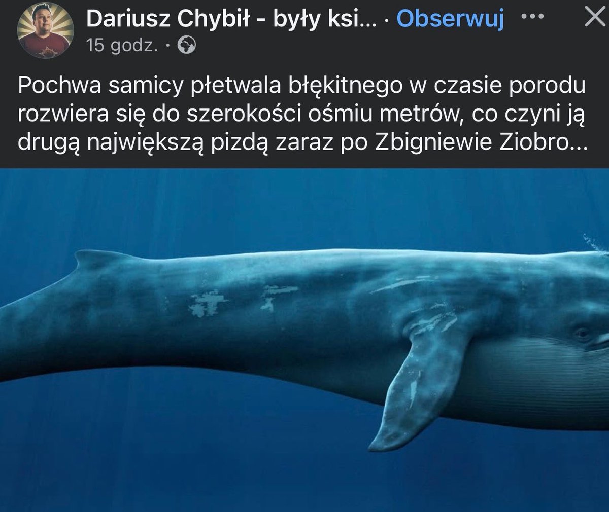 smutnahistoria's tweet photo. Lubię ciekawostki przyrodnicze 😂😂😂 https://t.co/YFlASaDWbX