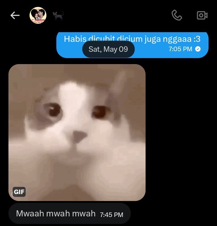 🐈 tweet media