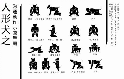 S谁把谁当真 tweet media