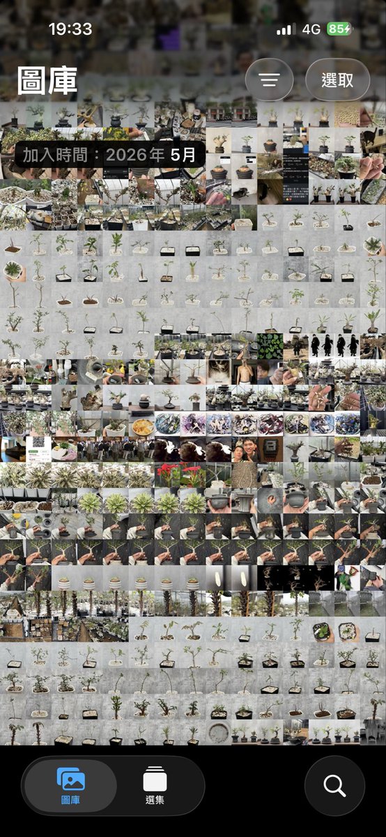 🧅彎的植男 tweet media