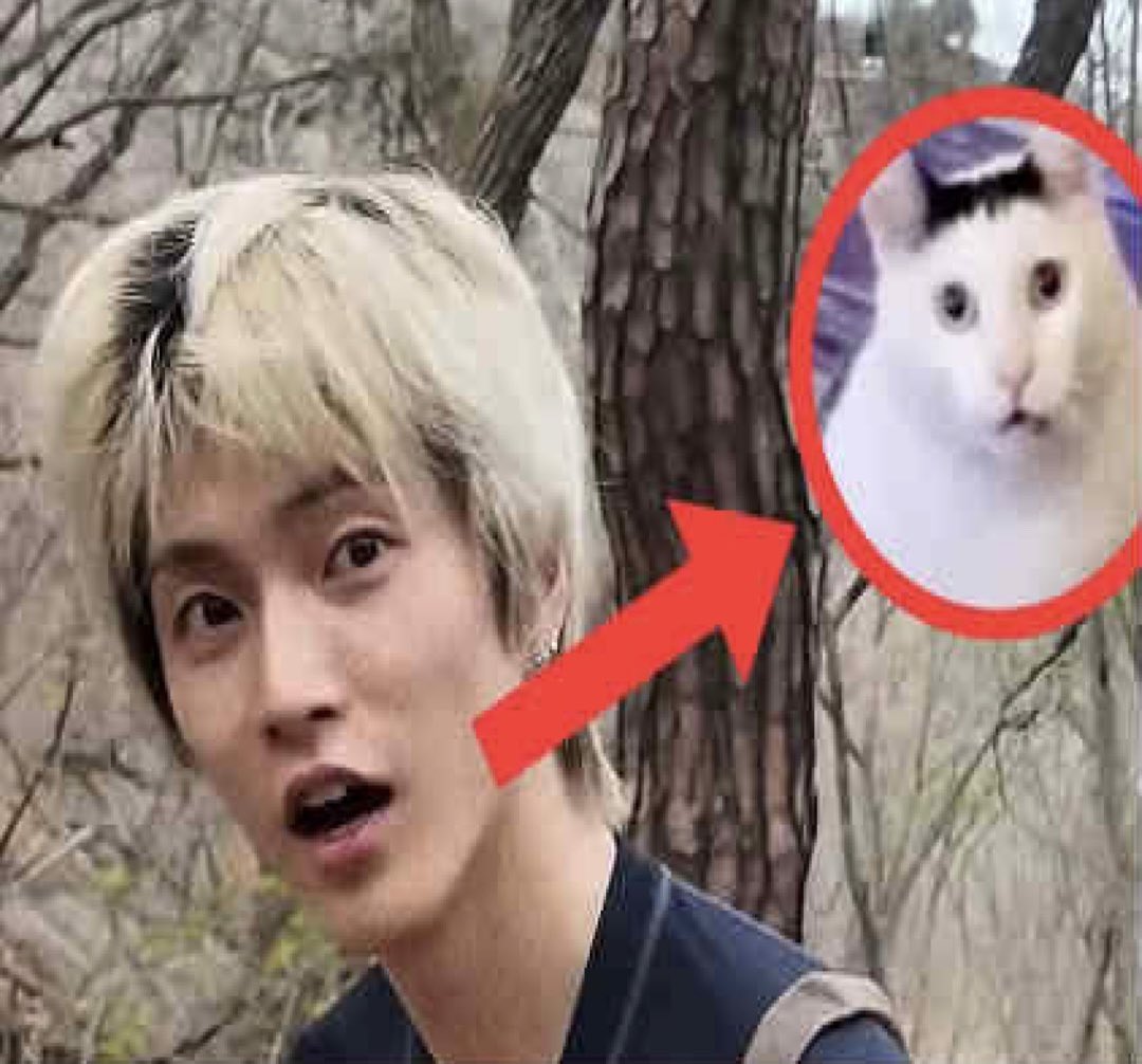 low quality seunghan tweet media