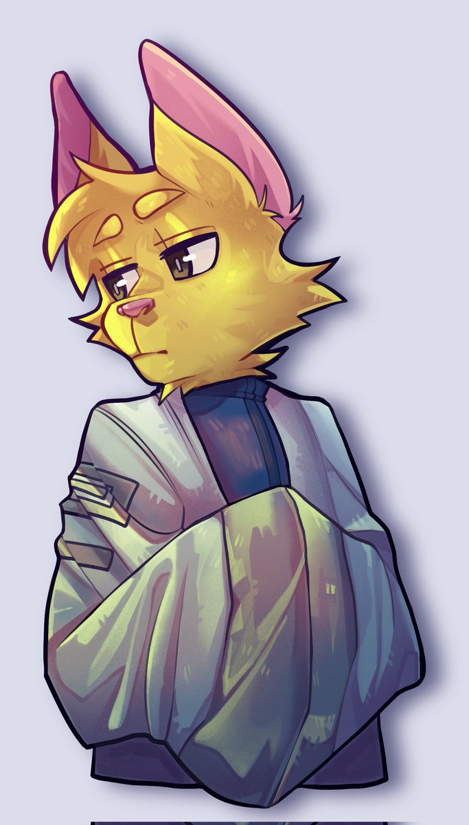 Yori tweet media