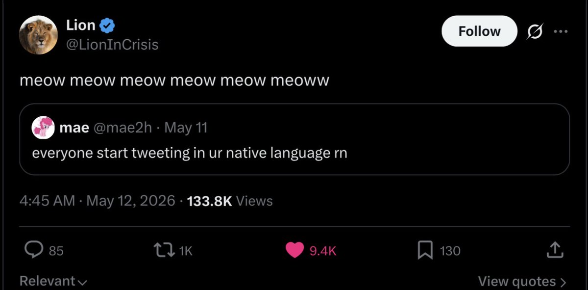 mae tweet media