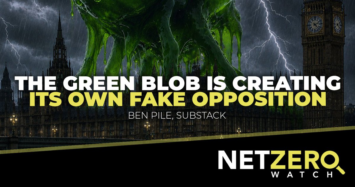 Net Zero Watch tweet media