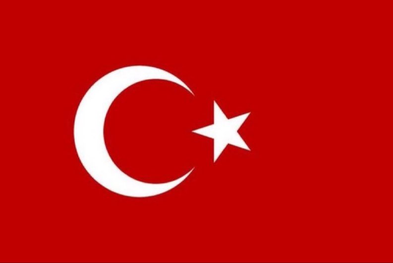Gökçe Katun tweet media