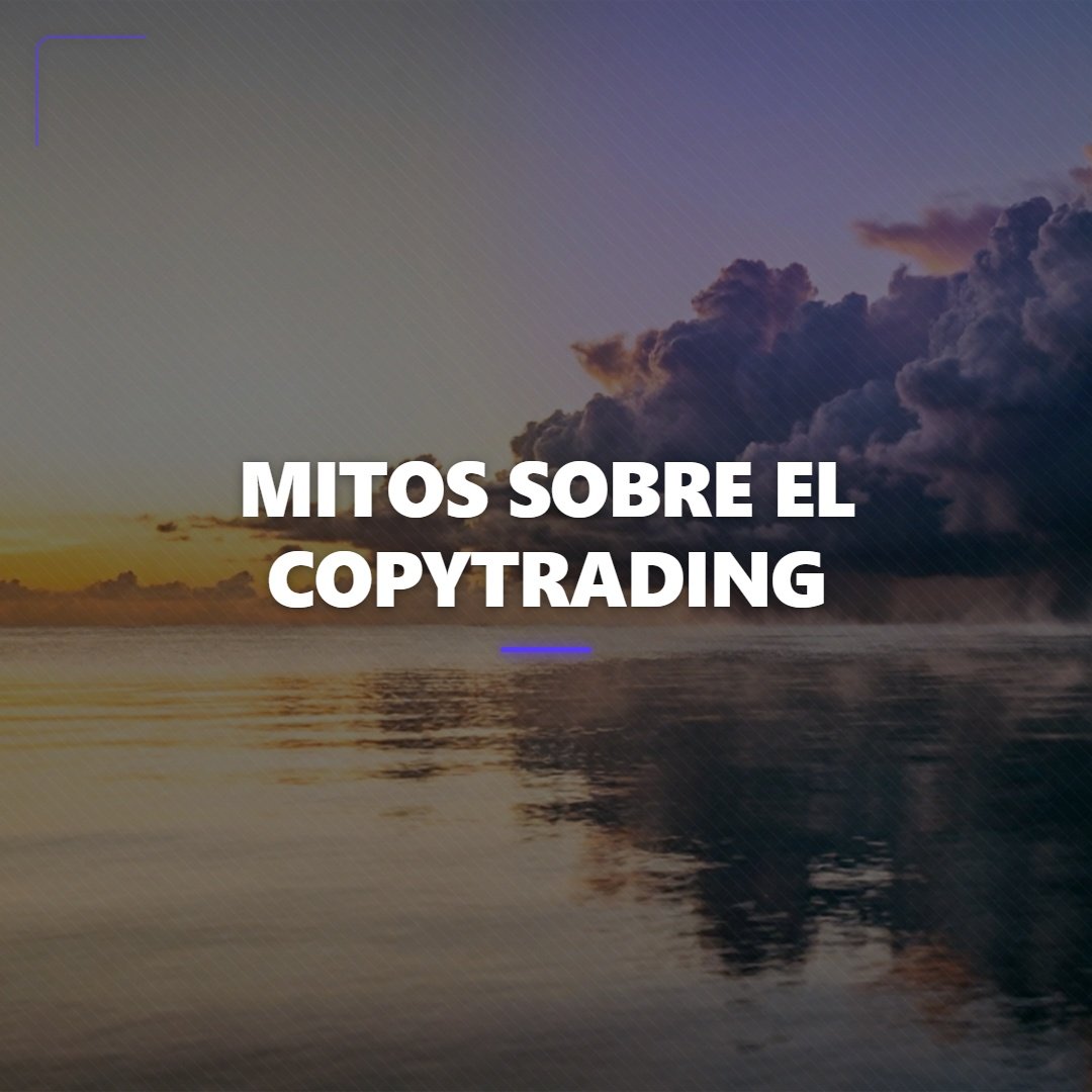 MyTraders Copytrading tweet media