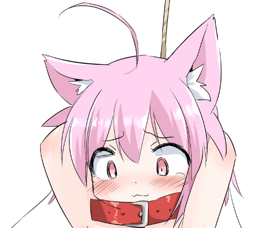 レートウーサギ tweet media
