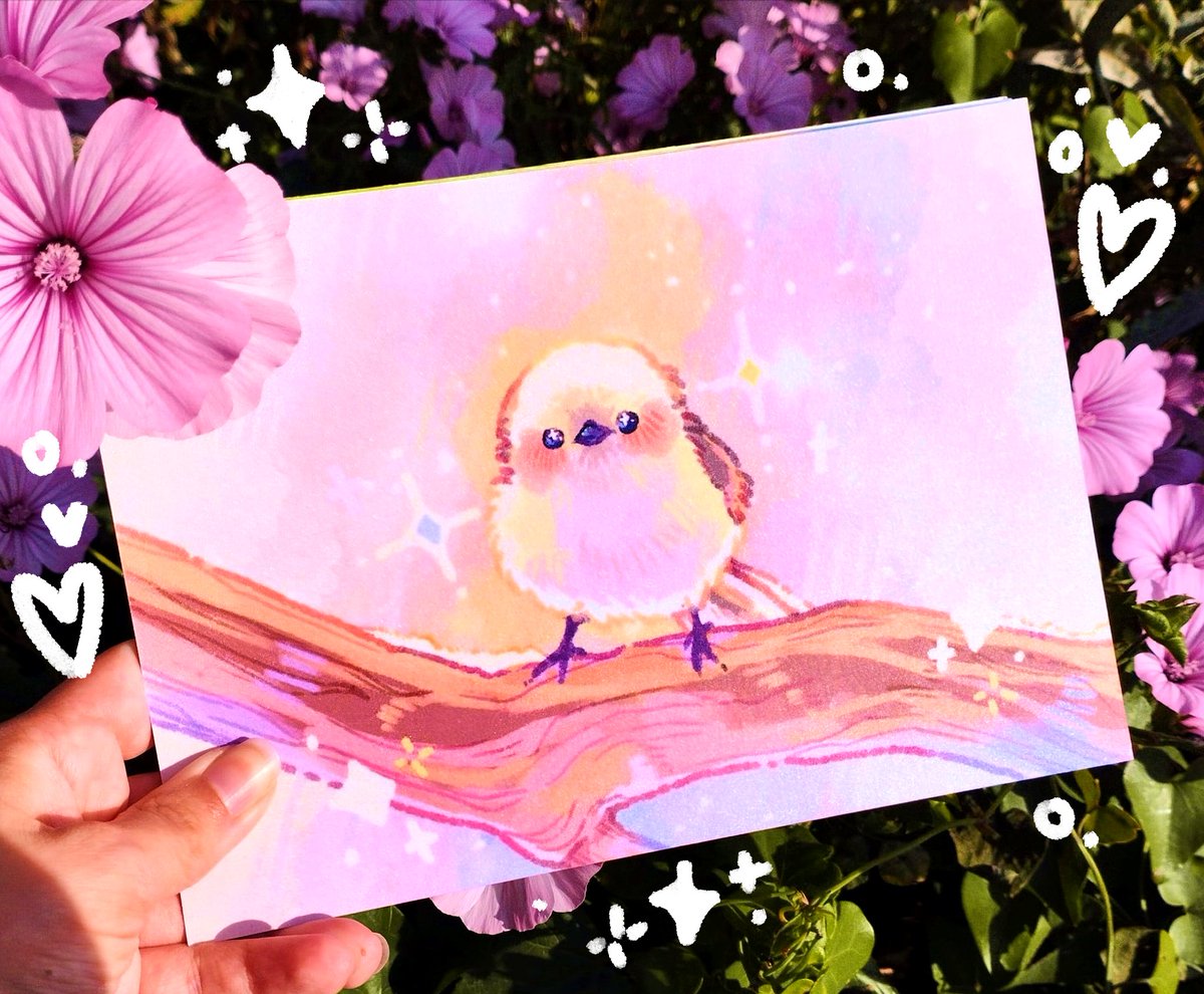 ✨ Nou 🌱🌷✨ tweet media