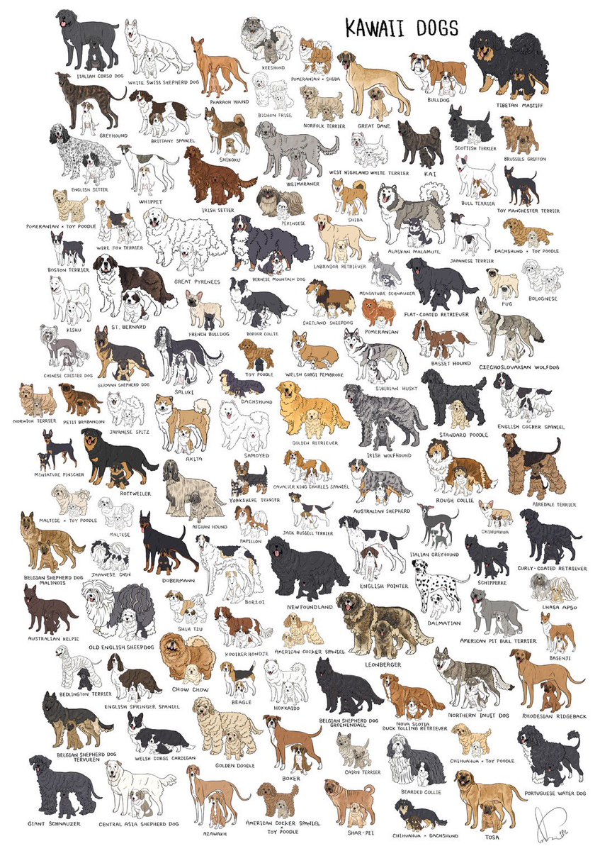 sakio🐾書籍「4ステップで誰でもかわいく描ける いぬとねこのイラスト練習帖」発売中🐾 tweet media