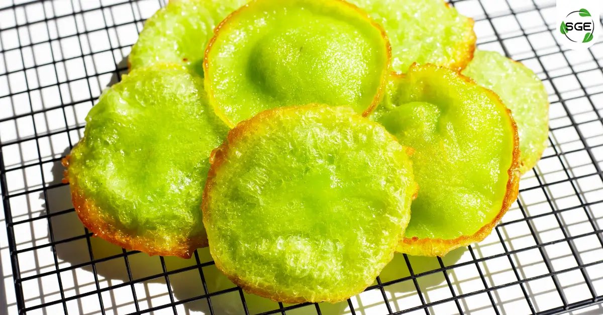 jello🍎🍋 tweet media