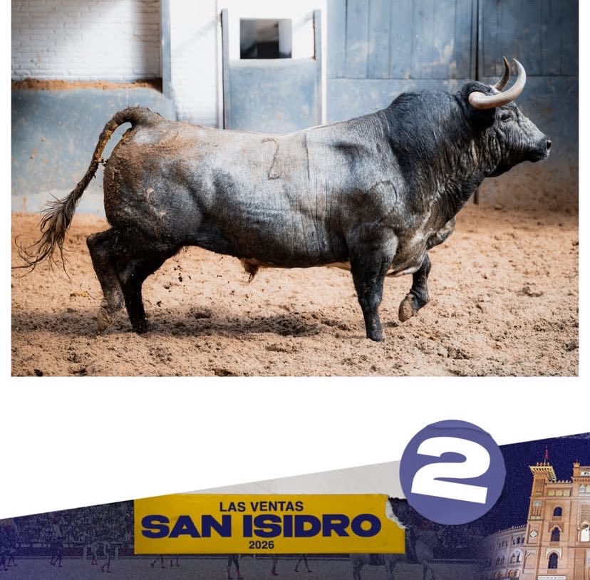 Formafición Toros tweet media