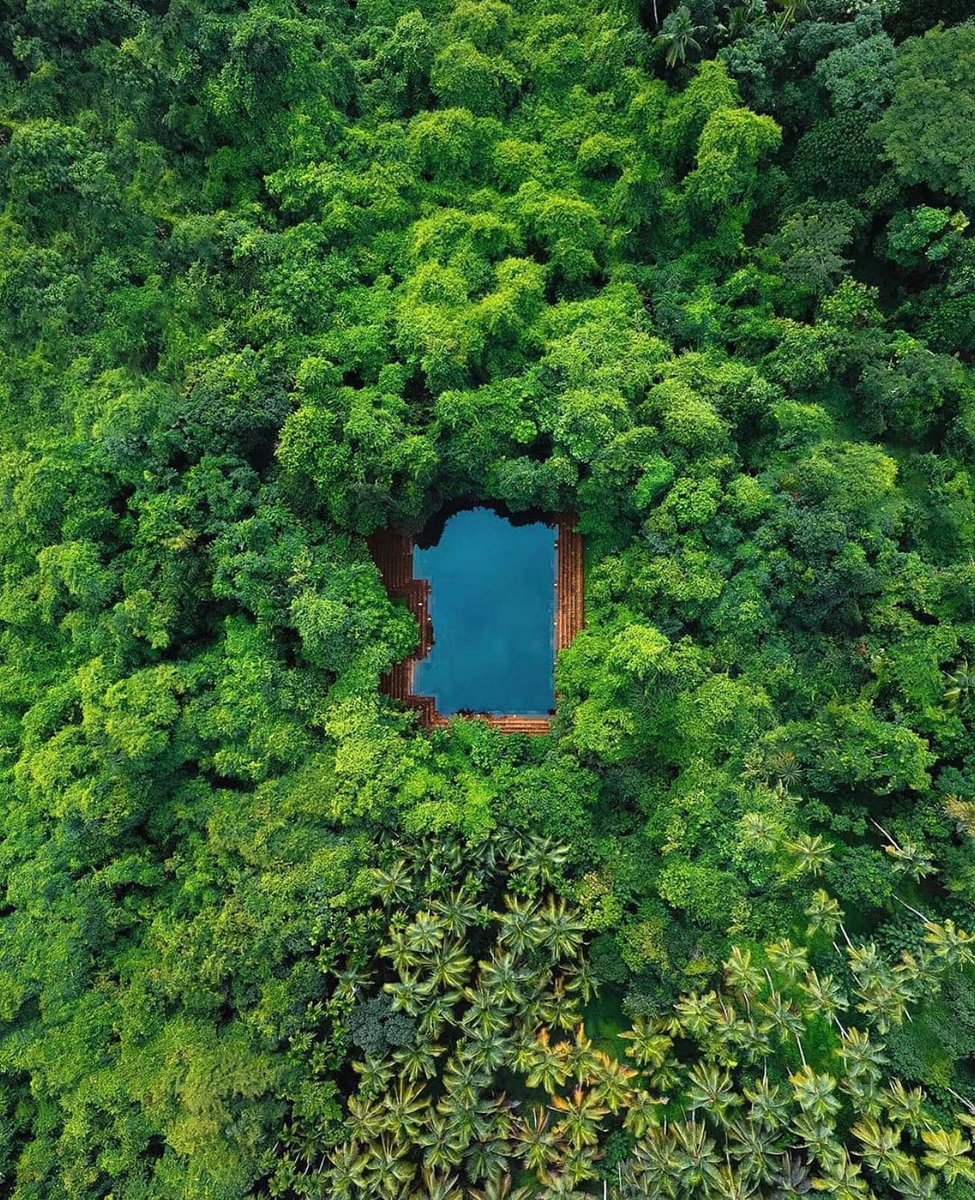 India Aesthetica tweet media