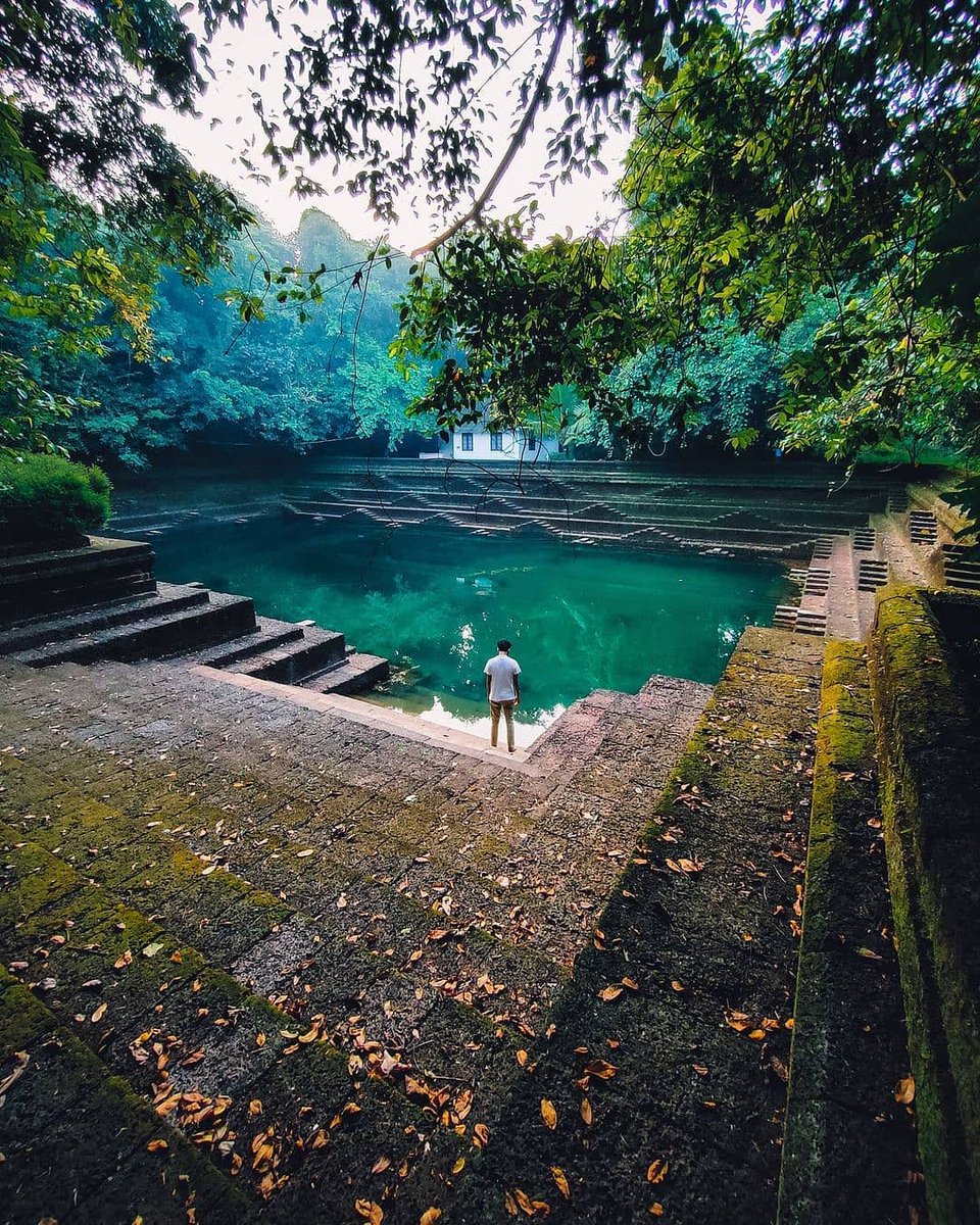India Aesthetica tweet media