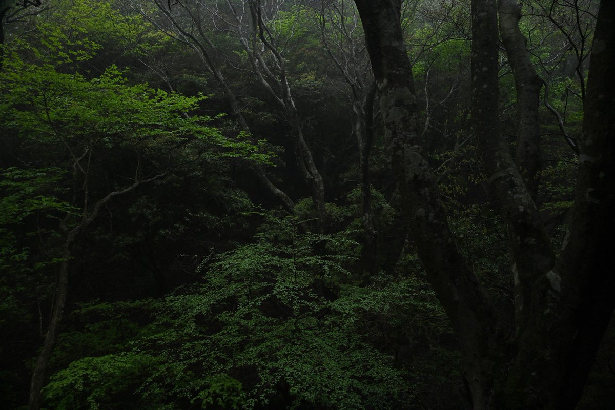 8703photography's tweet photo. https://t.co/BWhmiSUYHa
