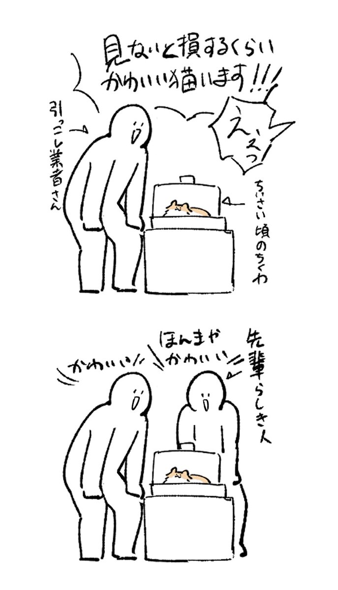 もちわさ日 tweet media