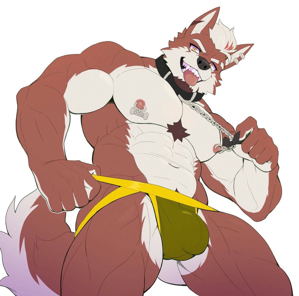 Kzwolf4's tweet photo. 買快樂淫蕩大狗🥳 https://t.co/3skklnoh2M