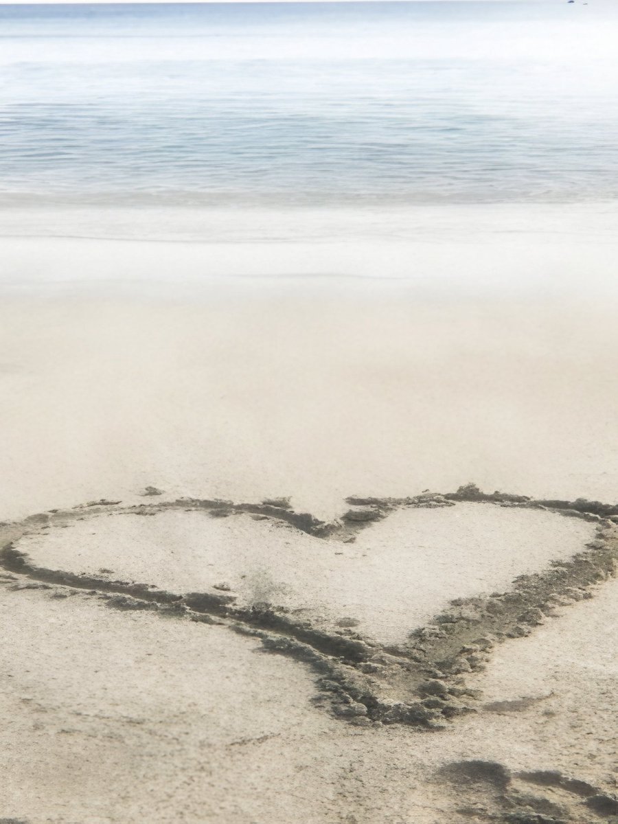 ℱ𝘳𝘰𝘺𝘭𝘢𝘯 ❦ tweet media