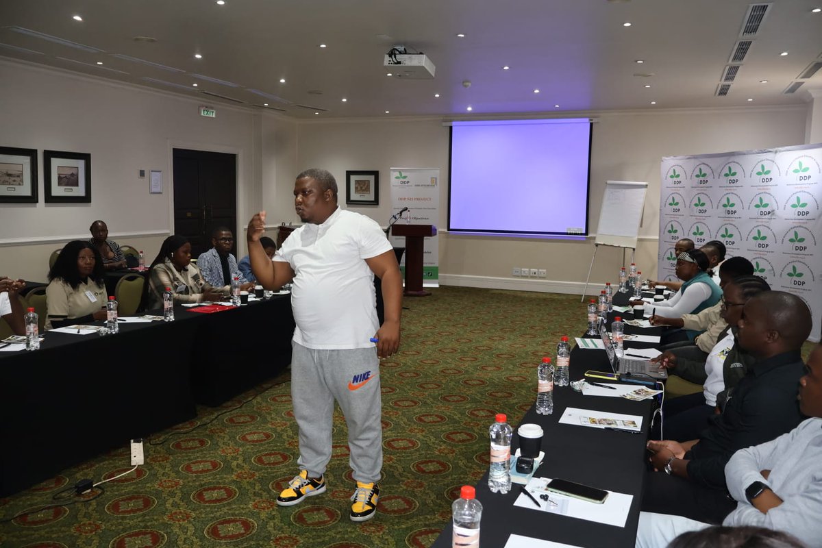Democracy Development Program tweet media