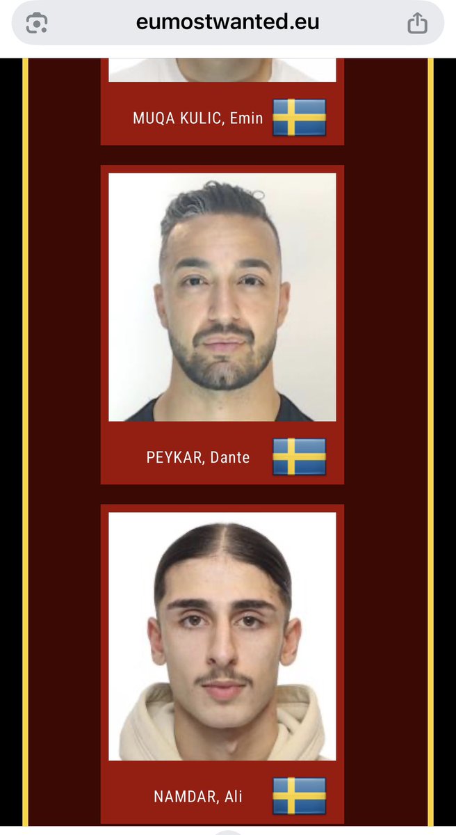 Ramona Fransson 🇮🇱🇸🇪✡️🇺🇸🇵🇱🎗️🇺🇦 tweet media