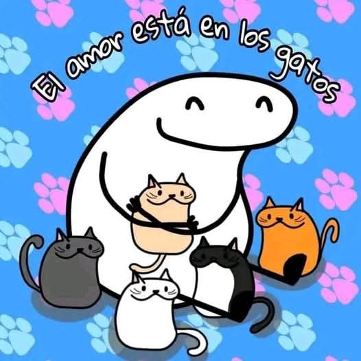 Manu Saenz💛💛 tweet media