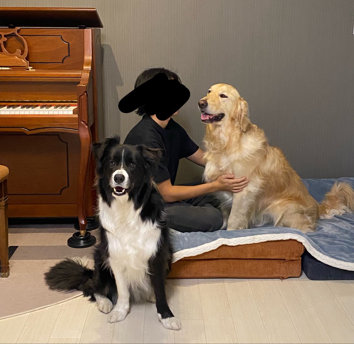 tabitobon's tweet photo. 日常が絵になってしまうたびぼん🐕‍🦺🐕🖼 https://t.co/e1UxBQZOHc
