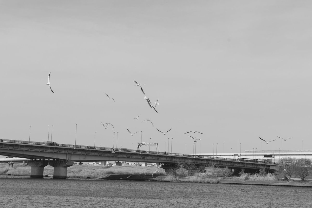 持田刊里