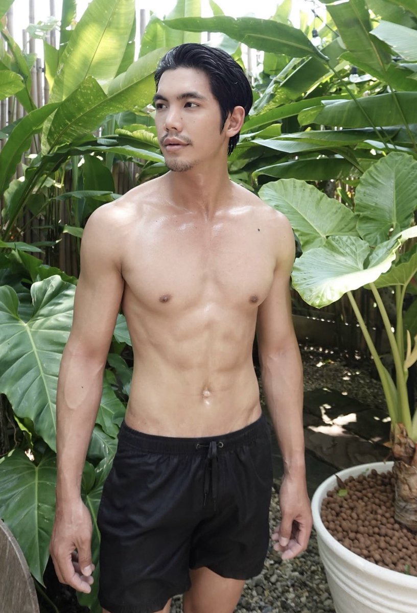 Shorthair_86 tweet media