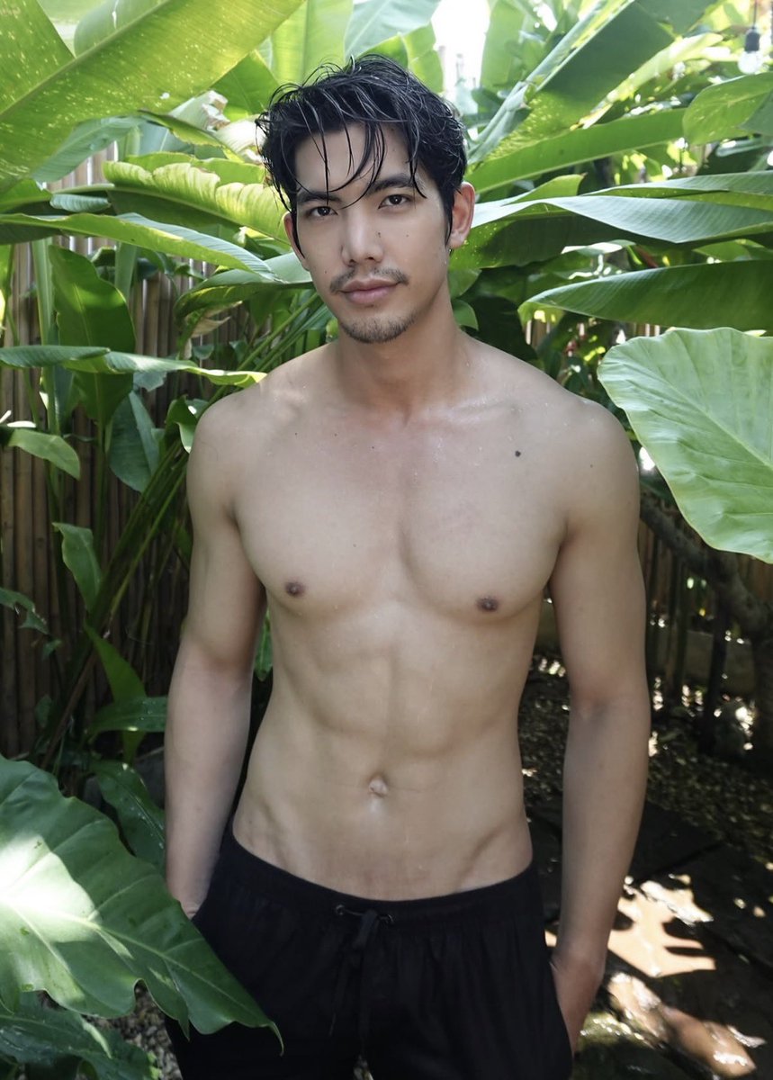 Shorthair_86 tweet media