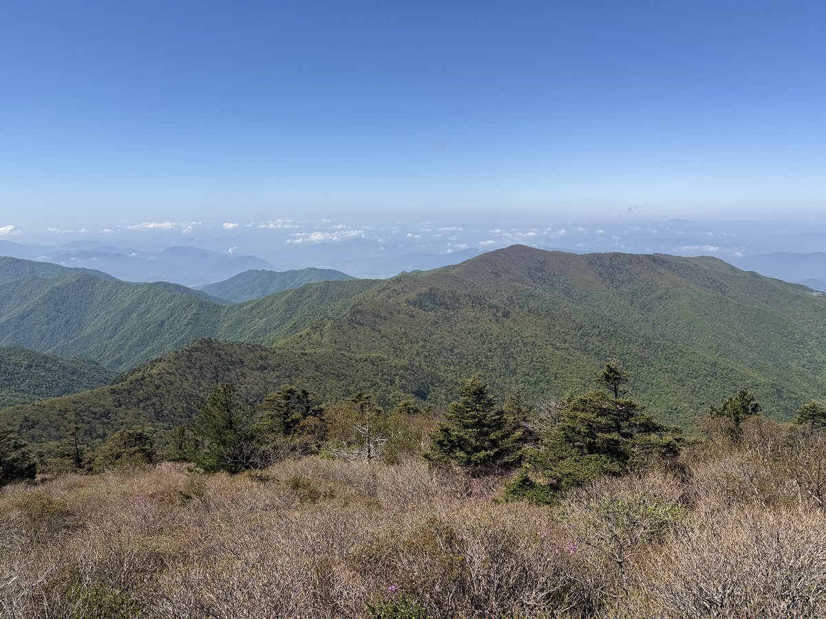 poooul's tweet photo. 새백 4시 30분경 성삼재 휴게소에서 출발, 중간에 반야봉 들렸다 5시 30분쯤 연하천 대피소에 무사히 도착. 날씨가 좋아서 반야봉에서 보는 풍경이 예뻤고 곳곳에 얼레지가 예쁘게 피어 있어 좋았다. 그러나 엄청 힘들어서 겨우 겨우 대피소까지 왔다. 휴!!! https://t.co/M6LlMA57Mu
